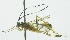  ( - INB0003966722)  @12 [ ] Copyright (2011) R. Zuniga Unspecified