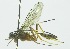  ( - INB0003970056)  @11 [ ] Copyright (2011) R. Zuniga Unspecified