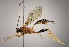  ( - INB0003983290)  @11 [ ] Copyright (2010) Ronald Zuniga Unspecified