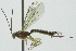  ( - INB0003988244)  @13 [ ] Copyright (2011) R. Zuniga INBio