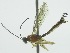  ( - INB0004049161)  @13 [ ] Copyright (2011) R. Zuniga INBio