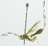  ( - INB0004196083)  @12 [ ] Copyright (2011) R. Zuniga Unspecified