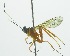  ( - INB0004246378)  @12 [ ] Copyright (2011) R. Zuniga Unspecified