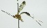  ( - INB0004253830)  @13 [ ] Copyright (2011) R. Zuniga INBio