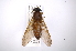  ( - INB0003311800)  @11 [ ] Copyright (2012) M. Zumbado Instituto Nacional de Biodiversidad