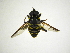  ( - INB0004289680)  @13 [ ] Copyright (2012) M. Zumbado Instituto Nacional de Biodiversidad