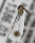  ( - INB0004319257)  @12 [ ] Copyright (2012) L.G. Chaverri Instituto Nacional de Biodiversidad