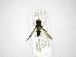 ( - INBIOCRI002409557)  @12 [ ] Copyright (2012) M. Zumbado Instituto Nacional de Biodiversidad