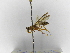  ( - INB0003364395)  @12 [ ] Copyright (2012) Braulio Hernandez Instituto Nacional de Biodiversidad