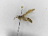  ( - INB0003374598)  @11 [ ] Copyright (2012) Braulio Hernandez Instituto Nacional de Biodiversidad