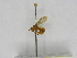  ( - INB0003412029)  @11 [ ] Copyright (2012) Braulio Hernandez Instituto Nacional de Biodiversidad