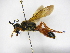  ( - INB0003740115)  @11 [ ] Copyright (2012) Braulio Hernandez Instituto Nacional de Biodiversidad