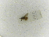  ( - INBIOCRI000271777)  @11 [ ] Copyright (2012) Braulio Hernandez Instituto Nacional de Biodiversidad