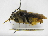  ( - INBIOCRI000272805)  @11 [ ] Copyright (2012) Braulio Hernandez Instituto Nacional de Biodiversidad