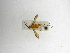  ( - INBIOCRI000742341)  @11 [ ] Copyright (2012) B. Hernandez Instituto Nacional de Biodiversidad