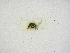  ( - INBIOCRI000904468)  @11 [ ] Copyright (2012) Braulio Hernandez Instituto Nacional de Biodiversidad