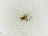  ( - INBIOCRI001214636)  @11 [ ] Copyright (2012) Braulio Hernandez Instituto Nacional de Biodiversidad