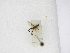  ( - INBIOCRI001401846)  @11 [ ] Copyright (2012) B. Hernandez Instituto Nacional de Biodiversidad