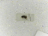  ( - INBIOCRI001656414)  @11 [ ] Copyright (2012) Braulio Hernandez Instituto Nacional de Biodiversidad