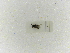  ( - INBIOCRI001691871)  @11 [ ] Copyright (2012) Braulio Hernandez Instituto Nacional de Biodiversidad