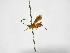  ( - INBIOCRI001716334)  @11 [ ] Copyright (2012) B. Hernandez Instituto Nacional de Biodiversidad