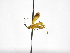  ( - INBIOCRI002302081)  @11 [ ] Copyright (2012) B. Hernandez Instituto Nacional de Biodiversidad