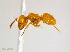  ( - JJ-T2-01)  @12 [ ] CreativeCommons - Attribution (2011) M. Alex Smith Centre for Biodiversity Genomics