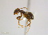  ( - JJ-N2-01)  @14 [ ] CreativeCommons - Attribution (2011) M. Alex Smith Centre for Biodiversity Genomics