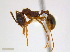  ( - JJ-K6-01)  @13 [ ] CreativeCommons - Attribution (2011) M. Alex Smith Centre for Biodiversity Genomics