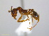  ( - JJ-B1-01)  @14 [ ] CreativeCommons - Attribution (2011) M. Alex Smith Centre for Biodiversity Genomics