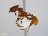  ( - JJ-B4-01)  @13 [ ] CreativeCommons - Attribution (2011) M. Alex Smith Centre for Biodiversity Genomics