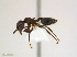  ( - JJ-A6-01)  @11 [ ] CreativeCommons - Attribution (2011) M. Alex Smith Centre for Biodiversity Genomics