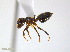  ( - JJ-I5-01)  @12 [ ] CreativeCommons - Attribution (2011) M. Alex Smith Centre for Biodiversity Genomics