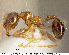  ( - JTL204493)  @12 [ ] Unspecified (default): All Rights Reserved  image by J. Longino Unspecified