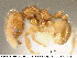  ( - JTL204460)  @13 [ ] Unspecified (default): All Rights Reserved  image by J. Longino Unspecified