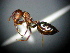  ( - MAS466-08)  @12 [ ] Unspecified (default): All Rights Reserved  Unspecified Unspecified
