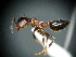 ( - MAS444-08)  @13 [ ] Unspecified (default): All Rights Reserved  Unspecified Unspecified