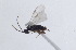  ( - DHJPAR0001646)  @11 [ ] Unspecified (default): All Rights Reserved  Unspecified Unspecified