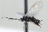  ( - DHJPAR0001554)  @12 [ ] Unspecified (default): All Rights Reserved  Unspecified Unspecified