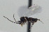  ( - DHJPAR0003084)  @12 [ ] Unspecified (default): All Rights Reserved  Unspecified Unspecified