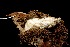  ( - DHJPAR0002983)  @12 [ ] Unspecified (default): All Rights Reserved  Unspecified Unspecified