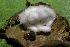  ( - DHJPAR0001630)  @11 [ ] Unspecified (default): All Rights Reserved  Unspecified Unspecified