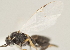  ( - DHJPAR0001554)  @12 [ ] CreativeCommons - Attribution Non-Commercial Share-Alike (2015) Jose L. Fernandez-Triana Canadian National Collection