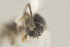  ( - DHJPAR0002695)  @12 [ ] CreativeCommons - Attribution Non-Commercial Share-Alike (2015) Jose L. Fernandez-Triana Canadian National Collection