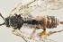  ( - DHJPAR0002914)  @12 [ ] CreativeCommons - Attribution Non-Commercial Share-Alike (2015) Jose L. Fernandez-Triana Canadian National Collection