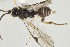  ( - DHJPAR0004868)  @12 [ ] CreativeCommons - Attribution Non-Commercial Share-Alike (2015) Jose L. Fernandez-Triana Canadian National Collection