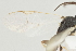  ( - DHJPAR0005285)  @11 [ ] CreativeCommons - Attribution Non-Commercial Share-Alike (2015) Jose L. Fernandez-Triana Canadian National Collection