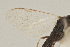  ( - DHJPAR0013684)  @11 [ ] CreativeCommons - Attribution Non-Commercial Share-Alike (2015) Jose L. Fernandez-Triana Canadian National Collection