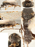  ( - DHJPAR0001573)  @11 [ ] CreativeCommons - Attribution Non-Commercial Share-Alike (2018) Unspecified Canadian National Collection