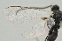  ( - DHJPAR0020604)  @12 [ ] CreativeCommons - Attribution Non-Commercial Share-Alike (2015) Jose L. Fernandez-Triana Canadian National Collection